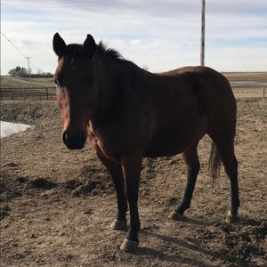 Meet your Posher, Jayden